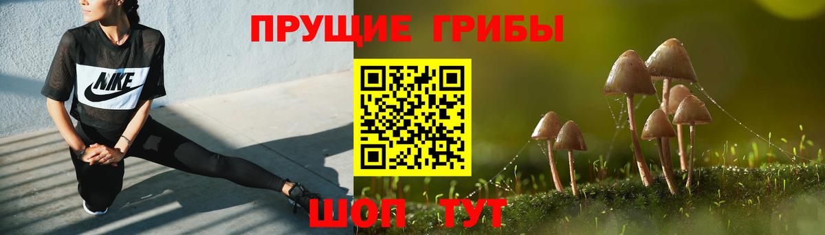 Альметьевск  Галлюциногенные грибы MAGIC MUSHROOMS  Вход с VPN 